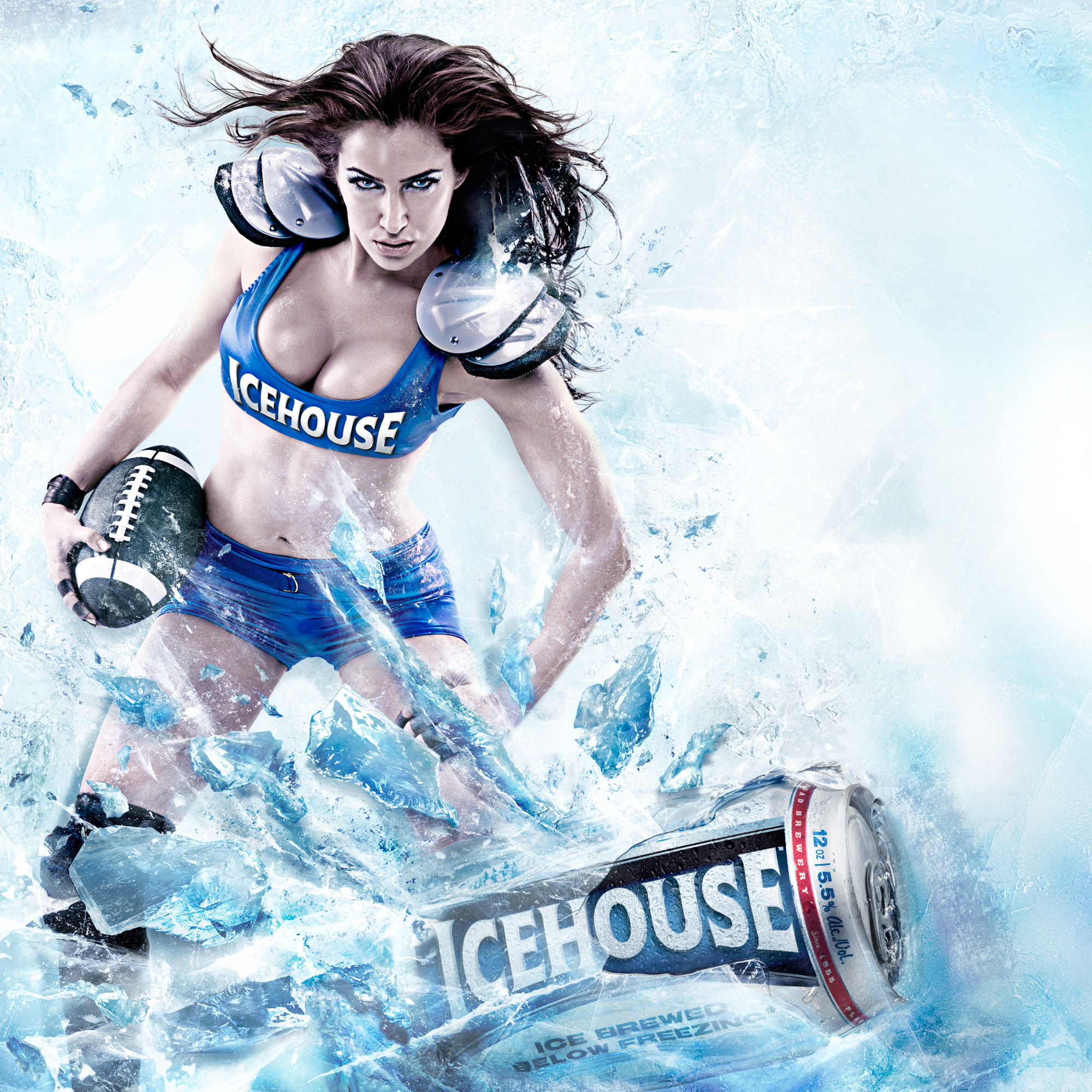 Icehouse 1