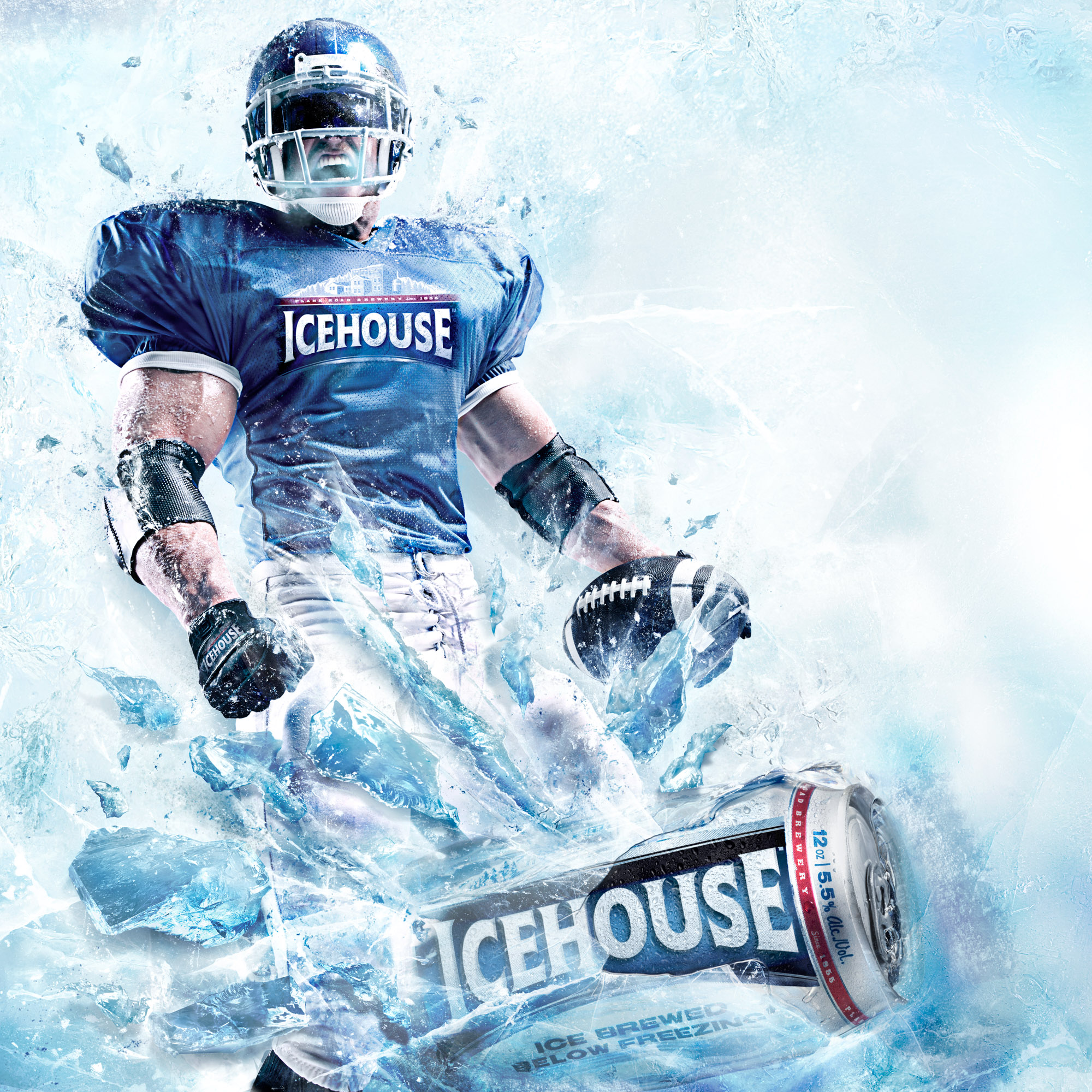 Icehouse 2